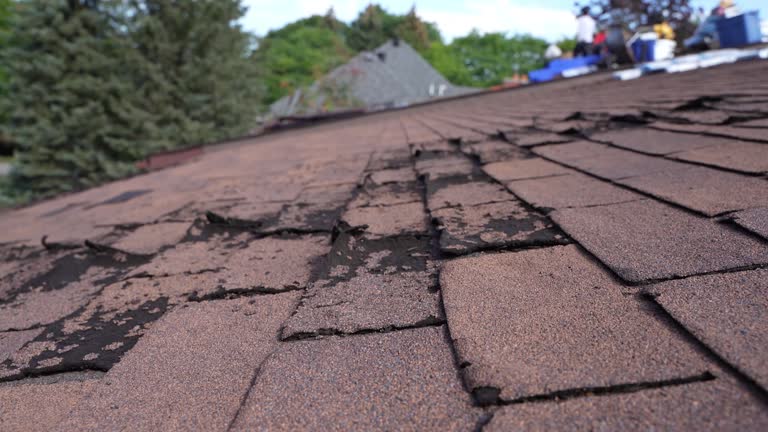 Best Storm Damage Roof Repair  in Brownwood, TX